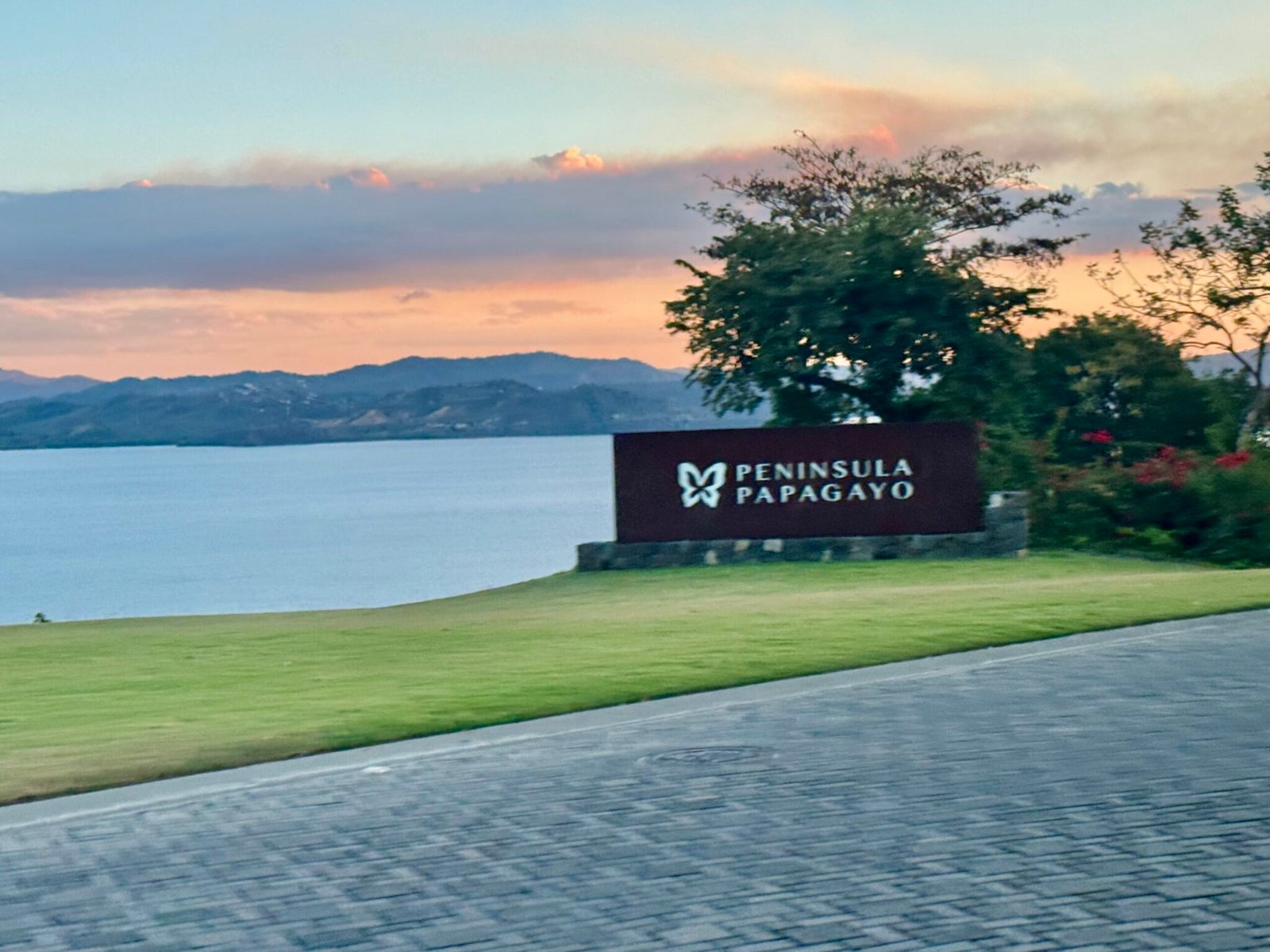 Papagayo